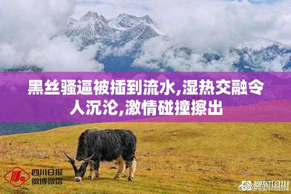 黑丝骚逼被插到流水,湿热交融令人沉沦,激情碰撞擦出