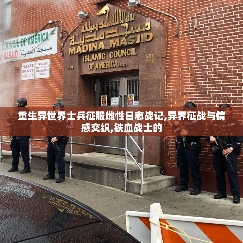 重生异世界士兵征服雌性日志战记,异界征战与情感交织,铁血战士的