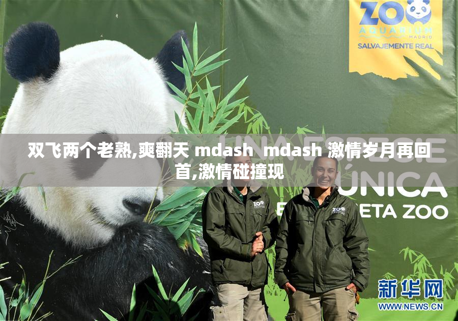 双飞两个老熟,爽翻天 mdash  mdash 激情岁月再回首,激情碰撞现