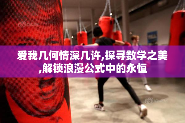 爱我几何情深几许,探寻数学之美,解锁浪漫公式中的永恒