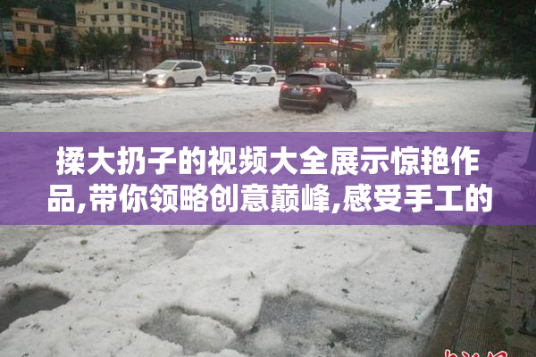 揉大扔子的视频大全展示惊艳作品,带你领略创意巅峰,感受手工的