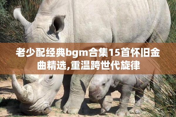 老少配经典bgm合集15首怀旧金曲精选,重温跨世代旋律