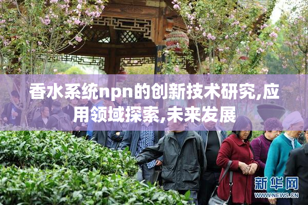 香水系统npn的创新技术研究,应用领域探索,未来发展