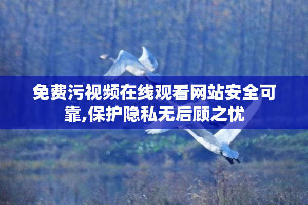 免费污视频在线观看网站安全可靠,保护隐私无后顾之忧