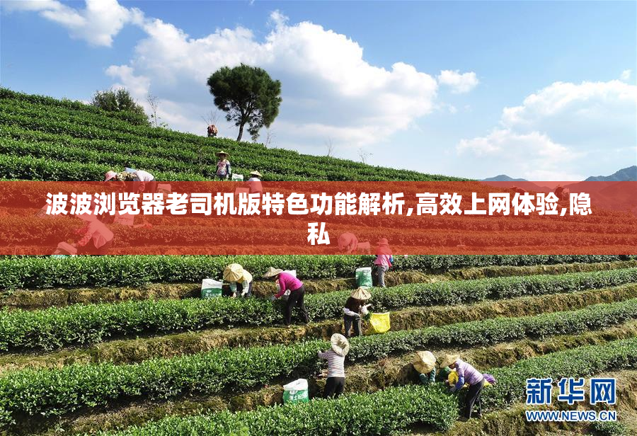 波波浏览器老司机版特色功能解析,高效上网体验,隐私