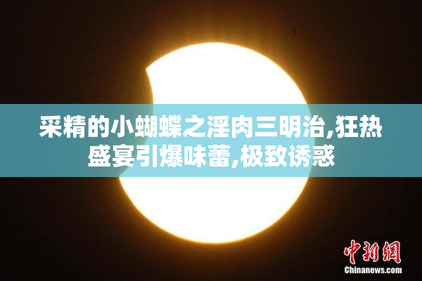 采精的小蝴蝶之淫肉三明治,狂热盛宴引爆味蕾,极致诱惑