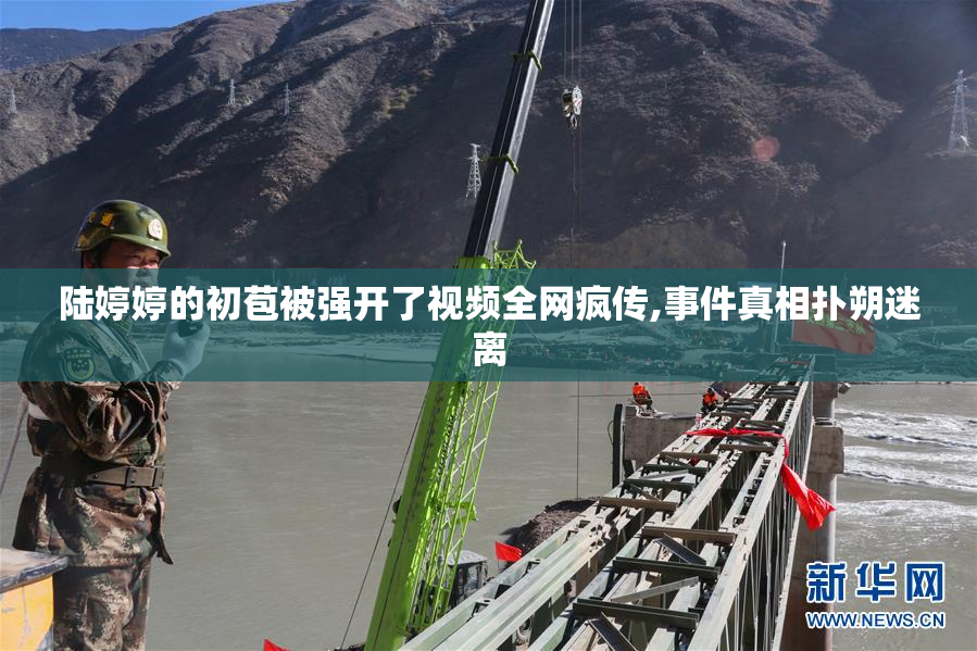 陆婷婷的初苞被强开了视频全网疯传,事件真相扑朔迷离