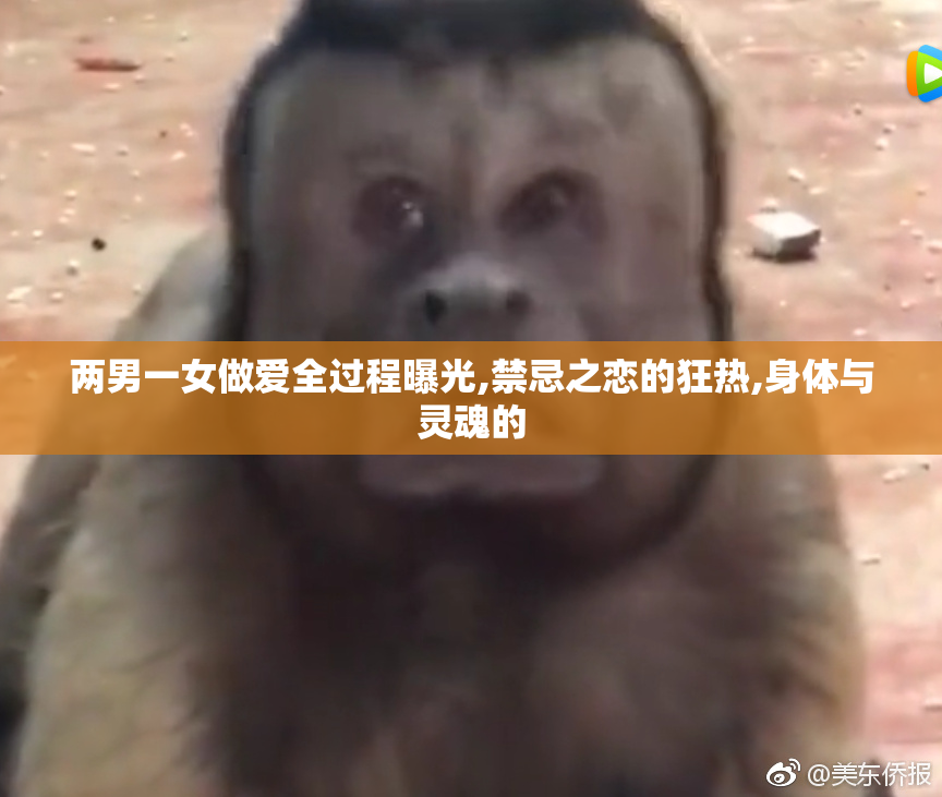 两男一女做爱全过程曝光,禁忌之恋的狂热,身体与灵魂的