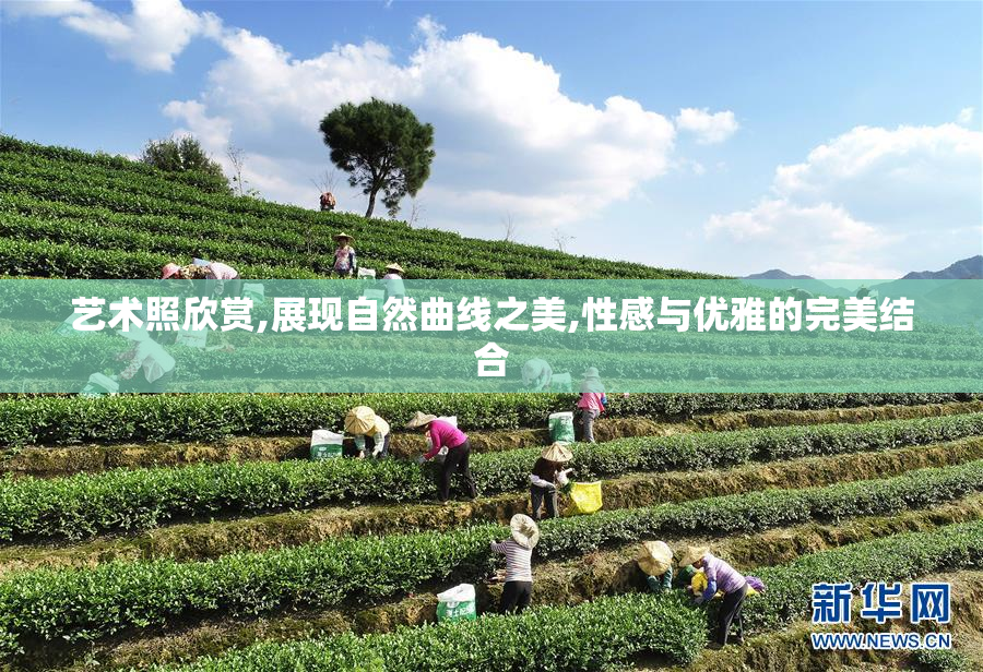 艺术照欣赏,展现自然曲线之美,性感与优雅的完美结合