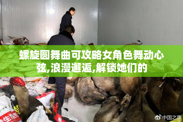 螺旋圆舞曲可攻略女角色舞动心弦,浪漫邂逅,解锁她们的