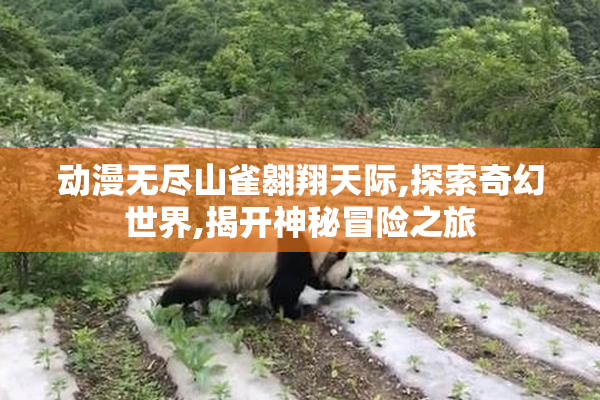 动漫无尽山雀翱翔天际,探索奇幻世界,揭开神秘冒险之旅