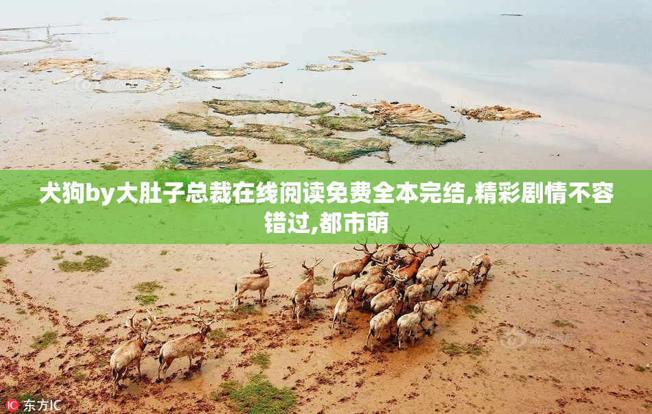 犬狗by大肚子总裁在线阅读免费全本完结,精彩剧情不容错过,都市萌