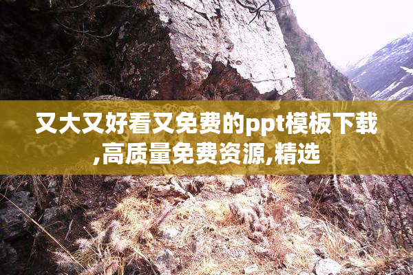 又大又好看又免费的ppt模板下载,高质量免费资源,精选