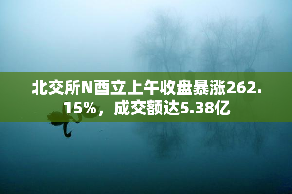 北交所N酉立上午收盘暴涨262.15%，成交额达5.38亿
