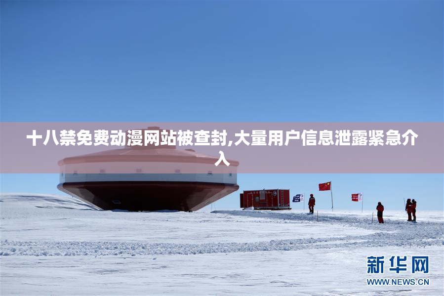 十八禁免费动漫网站被查封,大量用户信息泄露紧急介入