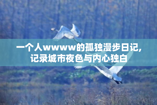 一个人wwww的孤独漫步日记,记录城市夜色与内心独白