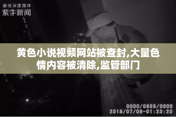 黄色小说视频网站被查封,大量色情内容被清除,监管部门