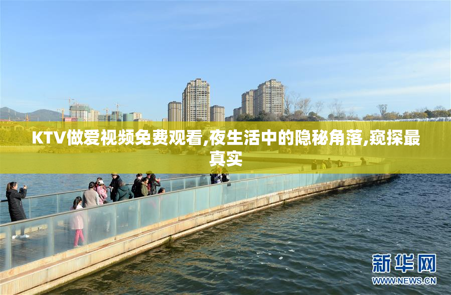KTV做爱视频免费观看,夜生活中的隐秘角落,窥探最真实
