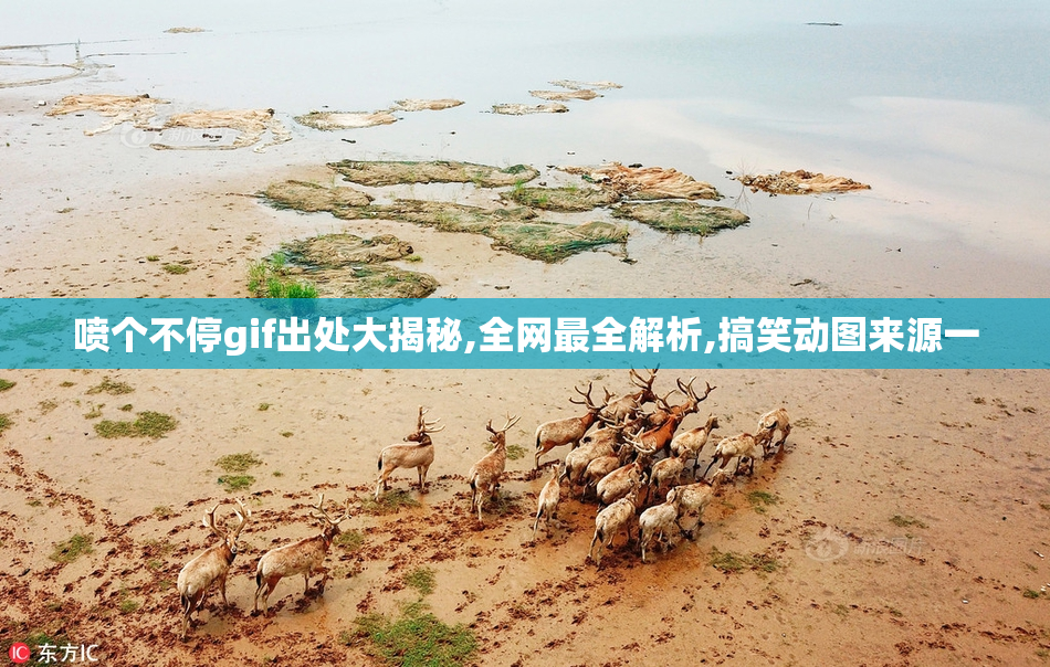 喷个不停gif出处大揭秘,全网最全解析,搞笑动图来源一