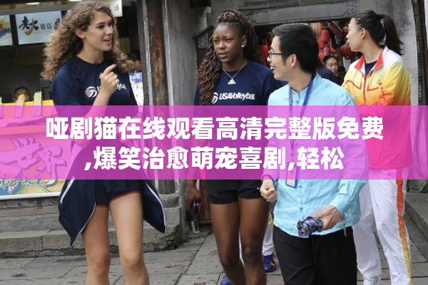 哑剧猫在线观看高清完整版免费,爆笑治愈萌宠喜剧,轻松