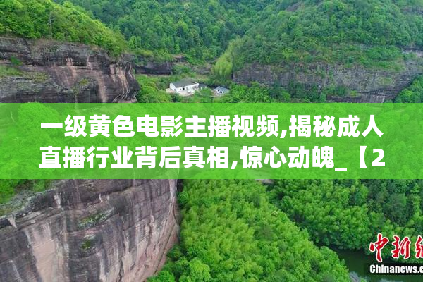 一级黄色电影主播视频,揭秘成人直播行业背后真相,惊心动魄_【2025