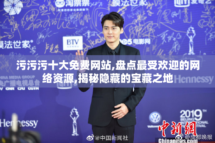 污污污十大免费网站,盘点最受欢迎的网络资源,揭秘隐藏的宝藏之地