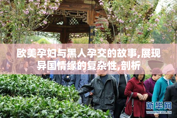 欧美孕妇与黑人孕交的故事,展现异国情缘的复杂性,剖析