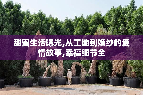 甜蜜生活曝光,从工地到婚纱的爱情故事,幸福细节全
