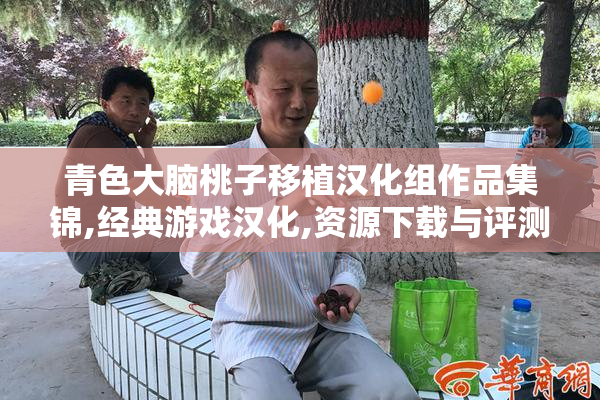 青色大脑桃子移植汉化组作品集锦,经典游戏汉化,资源下载与评测分享