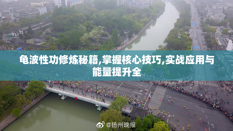 龟波性功修炼秘籍,掌握核心技巧,实战应用与能量提升全