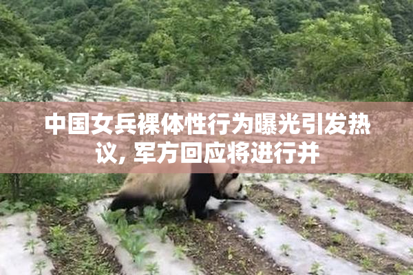 中国女兵裸体性行为曝光引发热议, 军方回应将进行并
