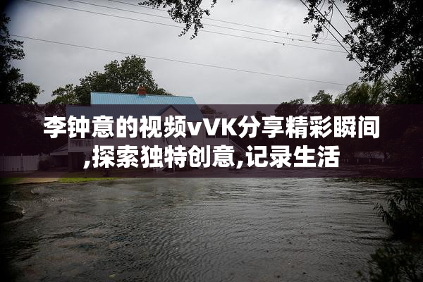 李钟意的视频vVK分享精彩瞬间,探索独特创意,记录生活