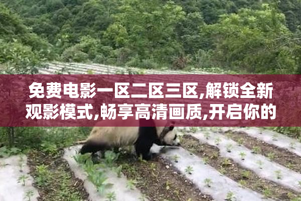 免费电影一区二区三区,解锁全新观影模式,畅享高清画质,开启你的