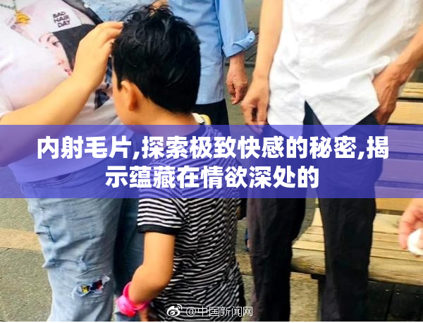 内射毛片,探索极致快感的秘密,揭示蕴藏在情欲深处的