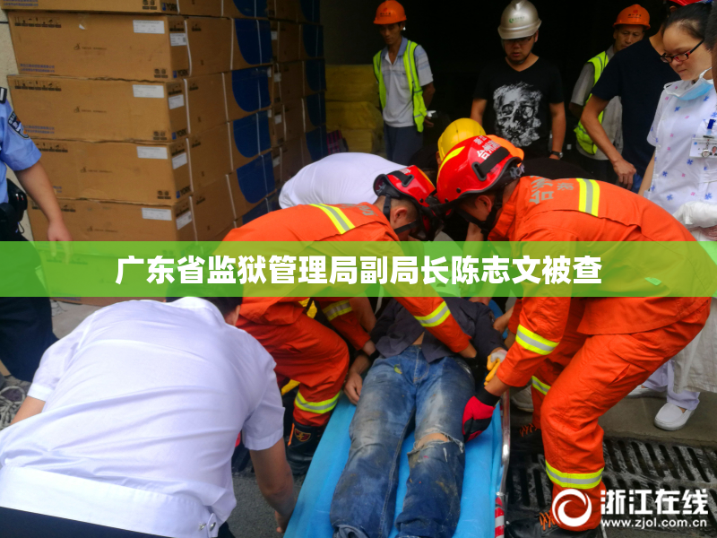 广东省监狱管理局副局长陈志文被查