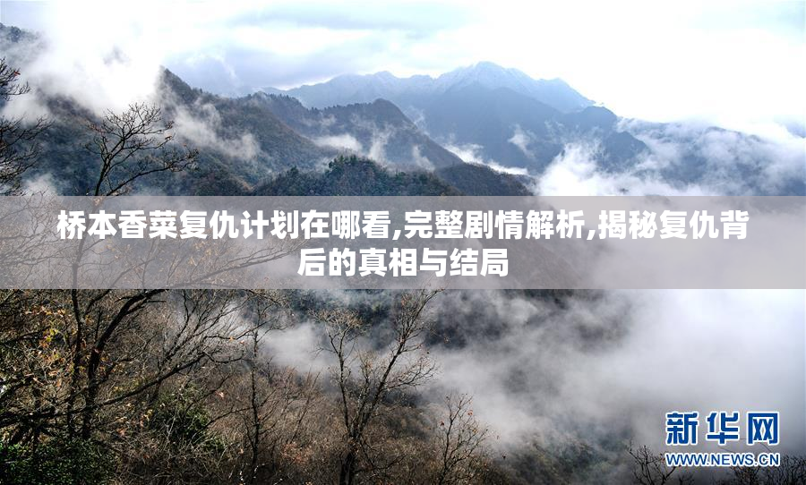 桥本香菜复仇计划在哪看,完整剧情解析,揭秘复仇背后的真相与结局