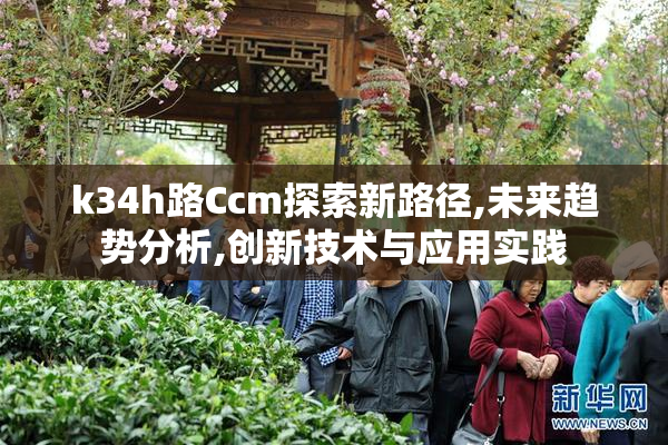 k34h路Ccm探索新路径,未来趋势分析,创新技术与应用实践