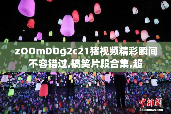 zOOmDOg2c21猪视频精彩瞬间不容错过,搞笑片段合集,超