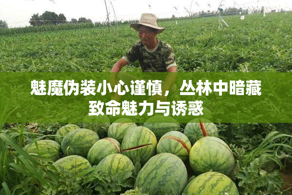 魅魔伪装小心谨慎，丛林中暗藏致命魅力与诱惑