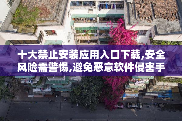 十大禁止安装应用入口下载,安全风险需警惕,避免恶意软件侵害手机