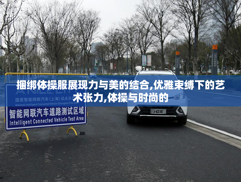 捆绑体操服展现力与美的结合,优雅束缚下的艺术张力,体操与时尚的
