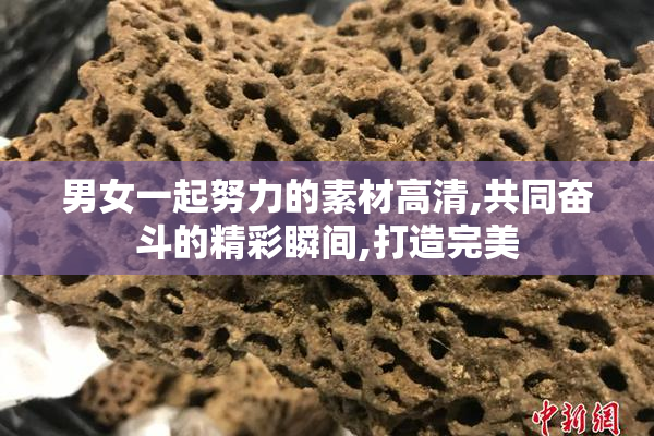 男女一起努力的素材高清,共同奋斗的精彩瞬间,打造完美