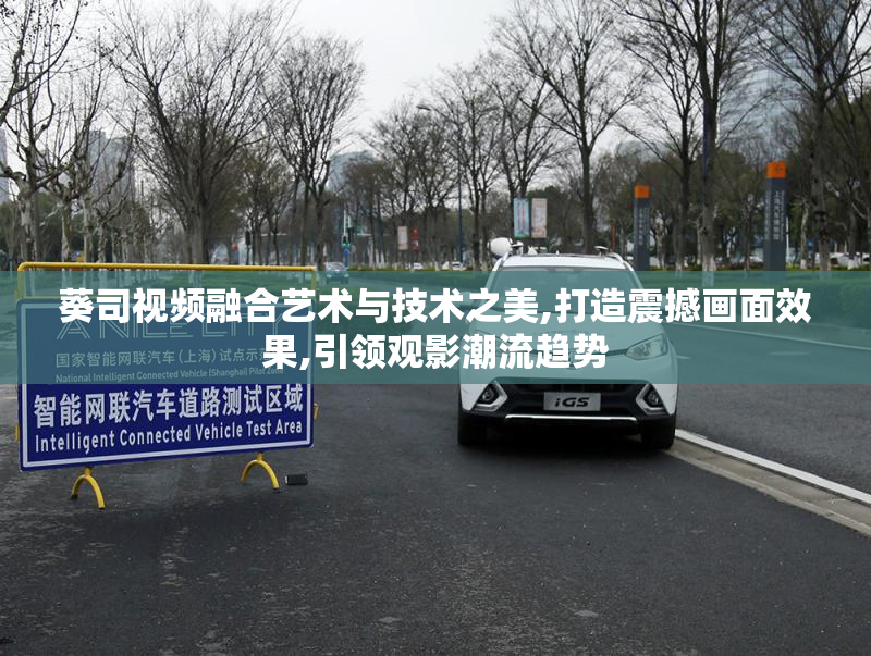 葵司视频融合艺术与技术之美,打造震撼画面效果,引领观影潮流趋势