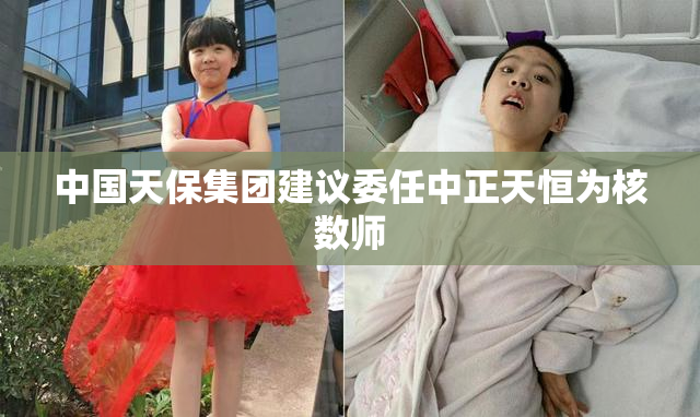 中国天保集团建议委任中正天恒为核数师