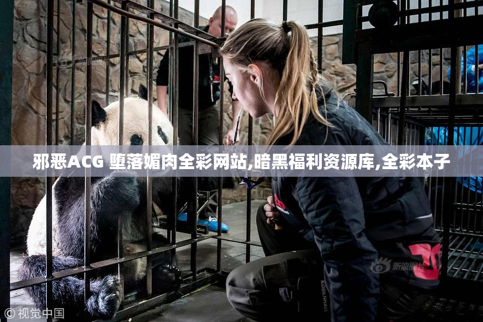 邪恶ACG 堕落媚肉全彩网站,暗黑福利资源库,全彩本子
