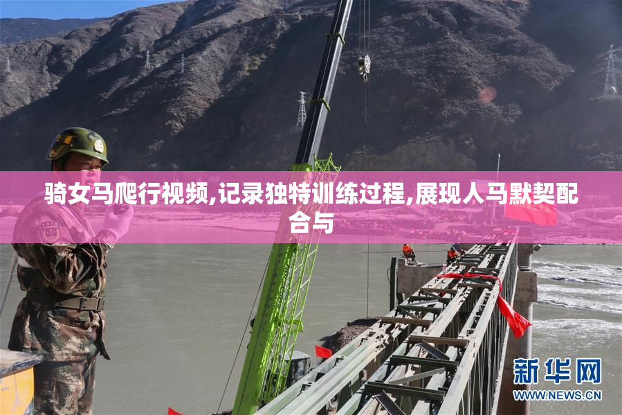 骑女马爬行视频,记录独特训练过程,展现人马默契配合与