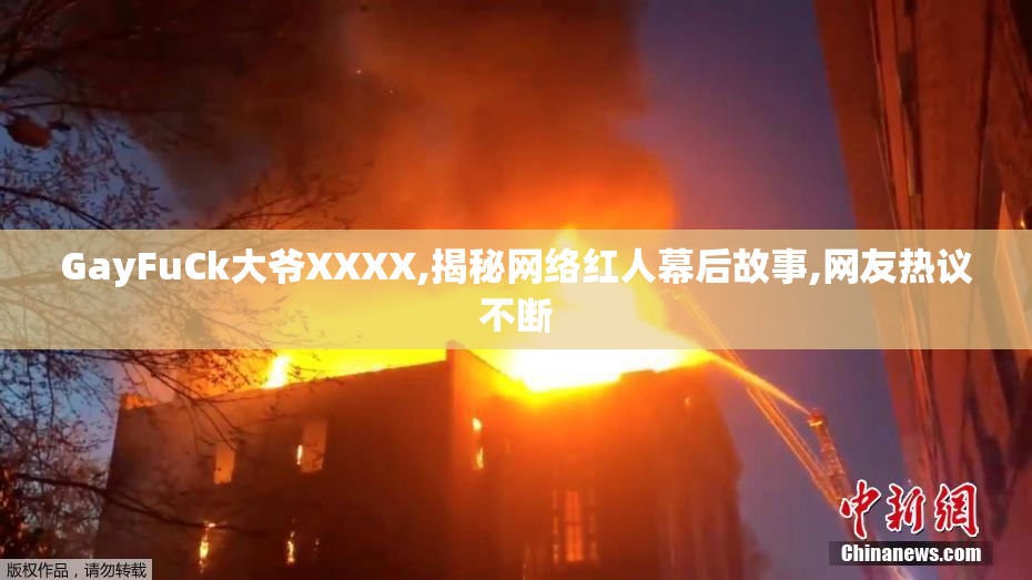 GayFuCk大爷XXXX,揭秘网络红人幕后故事,网友热议不断