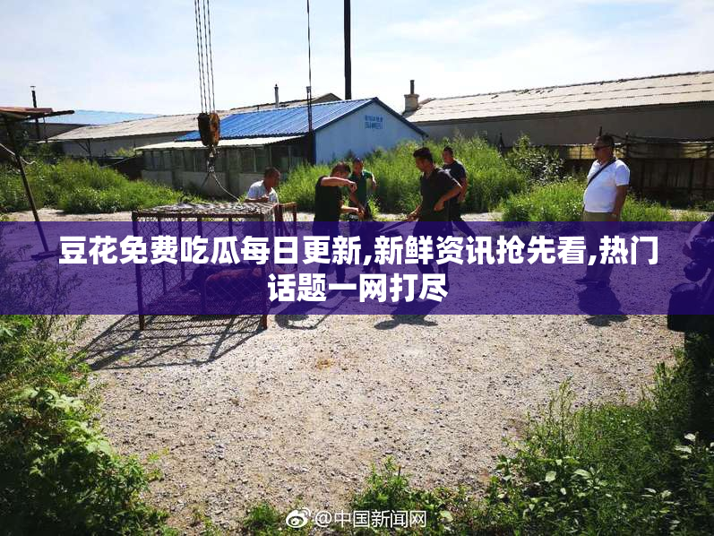 豆花免费吃瓜每日更新,新鲜资讯抢先看,热门话题一网打尽