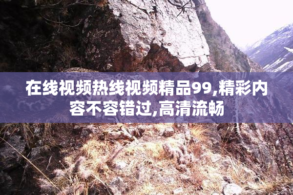 在线视频热线视频精品99,精彩内容不容错过,高清流畅