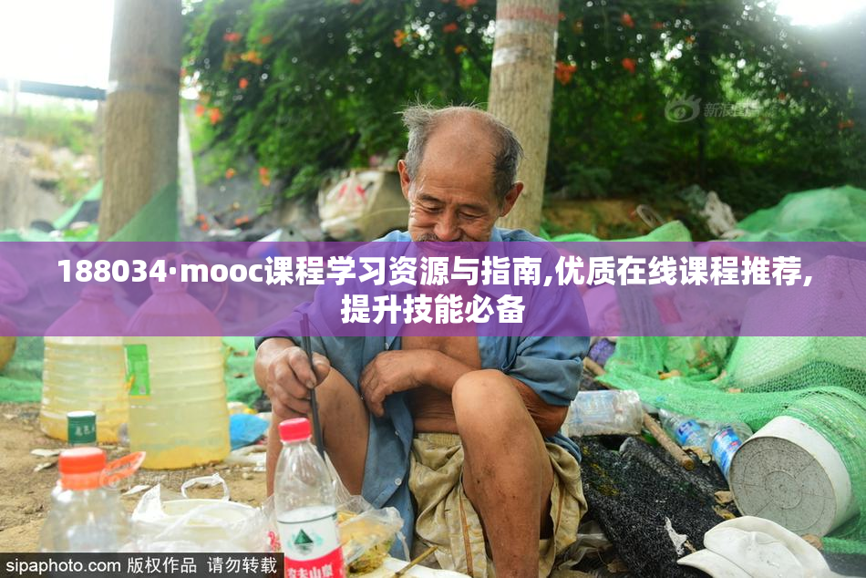 188034·mooc课程学习资源与指南,优质在线课程推荐,提升技能必备